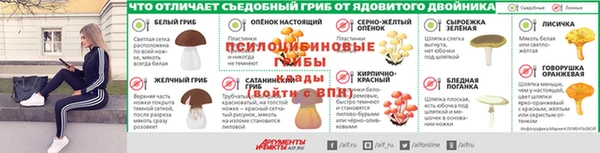ешки Дмитровск