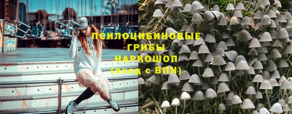 спайс Алзамай